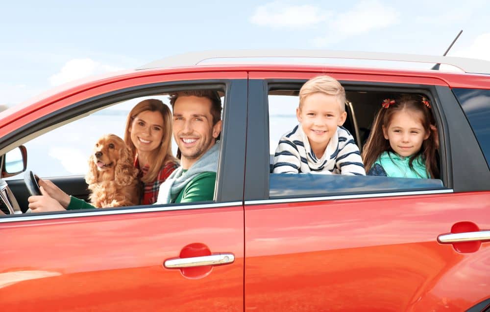 Family van with pet in car.